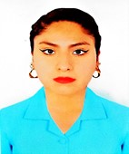 LIC. BRENDA LIZBETH. ÑACA TICONA