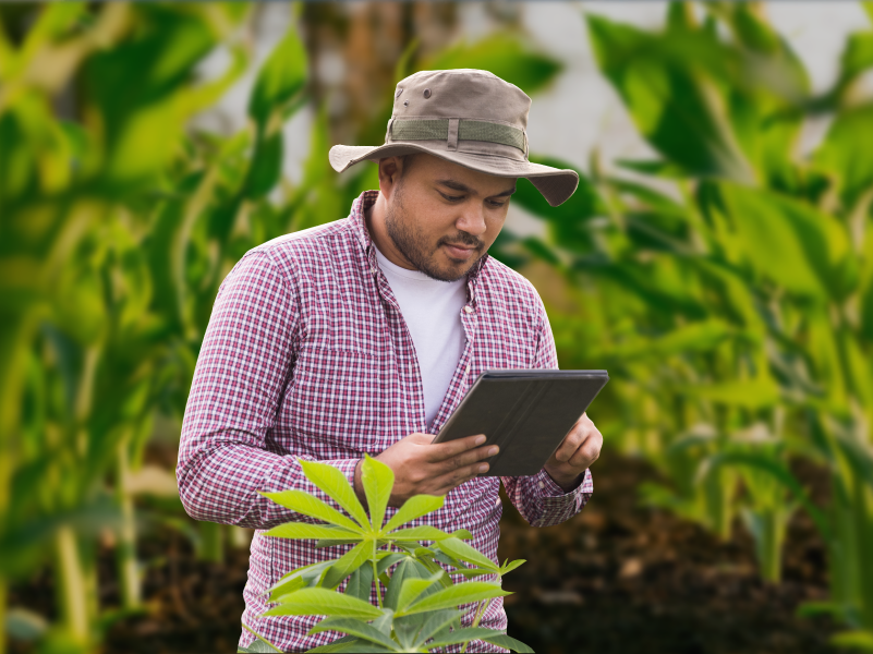 Producción Agropecuaria